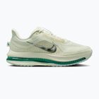 Кросівки для бігу жіночі Nike Pegasus Premium sea glass/malachite/metallic silver
