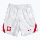 Шорти футбольні чоловічі Nike Dri-Fit Poland Stadium Home white/field silver