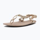 Сандалі barefoot жіночі Xero Shoes Genesis gold metallic