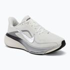 Кросівки для бігу жіночі Nike Pegasus 42 summit white/sail/black/metallic silver