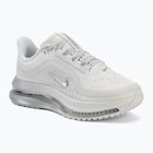 Кросівки для бігу жіночі Nike Pegasus Premium summit white/grey fog/metallic silver