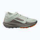 Кросівки для бігу жіночі Nike ACG Pegasus Trail GORE-TEX Light Silver/Light Army/Light Silver