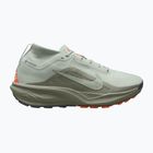 Кросівки для бігу чоловічі Nike ACG Pegasus Trail GORE-TEX Light Silver/Light Army/Light Silver