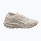 Кросівки для бігу чоловічі Nike ACG Pegasus Trail GORE-TEX Cream Ii/Light Orewood Brown