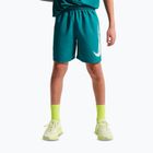Шорти дитячі Nike Multi Refresh bright spruce