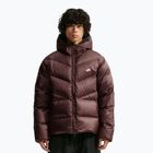 Пуховик чоловічий Nike Windrunner light chocolate/light chocolate/white
