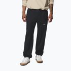 Чоловічі трекінгові штани Columbia Landroamer Scout black