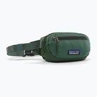 Сумка бананка Patagonia Terravia Mini Hip canopy green