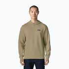 Кофта чоловіча Patagonia Daily Hoody weathered stone