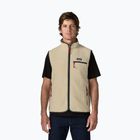 Жилет чоловічий Patagonia Retro Pile pelican