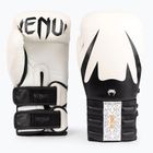 Боксерські рукавички Venum Reverso білі/чорні