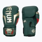 Боксерські рукавички Venum Elite зелені