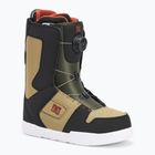 Черевики сноубордичні чоловічі DC Phase Boa brown/black/white