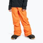 Штани для сноуборду дитячі Quiksilver Estate orange peel