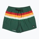 Шорти для плавання чоловічі Quiksilver Everyday Printed Volley 15" forest outside stripe