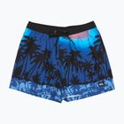 Шорти для плавання чоловічі Quiksilver Everyday Printed Volley 15" monaco blue thermotropics