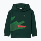 Кофта дитяча Lacoste SJ2561 sinople