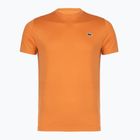 Футболка тенісна чоловіча Lacoste TH0004 blossom