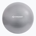 М'яч гімнастичний Schildkröt Gymnastic сірий 960156 65 cm