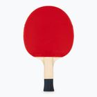 Ракетка для настільного тенісу Butterfly Timo Boll SG11