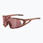 Окуляри сонцезахисні Alpina Hawkeye Q-Lite brick matt/black red mirror