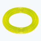 Іграшка для дайвінгу Fashy 4200 кільце neon green