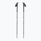 Палиці трекінгові LEKI Sherpa FX Carbon Strong black/naturalcarbon/light anthracite
