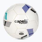 Футбольний м'яч Capelli Tribeca Metro Pro Fifa Quality AGE-5420 розмір 5