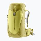 Жіночий туристичний рюкзак deuter AC Lite 22 l SL sprout / липа