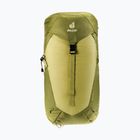 Туристичний рюкзак deuter AC Lite 24 л лінден/кактус