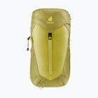 Жіночий туристичний рюкзак deuter AC Lite 28 l SL sprout / липа