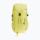 Дитячий туристичний рюкзак Deuter Climber 22 л паросток/липа