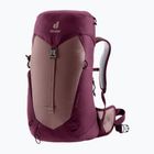 Рюкзак туристичний жіночий deuter AC Lite 22 л SL ashrose-cassis