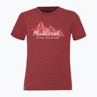 Футболка трекінгова дитяча Salewa Simple Life Dry червона 00-0000027774