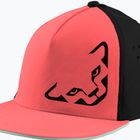 Бейсболка DYNAFIT Tech Trucker кабіна