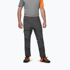 Чоловічі трекінгові штани Salewa Nxt Dst onyx