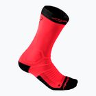 Шкарпетки DYNAFIT Ultra Cushion fluo coral