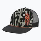 Кепка DYNAFIT Graphic Trucker overcast/0910 trail