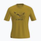 Футболка чоловіча Salewa Eagle Geometric olive oil