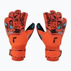 Рукавиці воротарські Reusch Attrakt Gold X Evolution Cut Finger Support червоні 5370950-3333