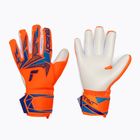 Рукавиці воротарські Reusch Attrakt Freegel Advance shocking orange/blue