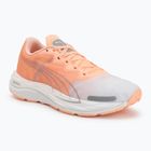 Кросівки для бігу жіночі Puma Velocity Nitro 2 melon/white/grey