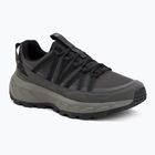 Кросівки туристичні чоловічі Jack Wolfskin Wild Hike Texapore Low black/phantom