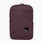 Міський рюкзак Jack Wolfskin Terraview 20 л amaranth