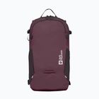 Рюкзак Jack Wolfskin Velocity 20 л амарант