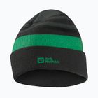 Дитяча зимова шапка Jack Wolfskin Stripy Knit slate green/mystic