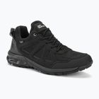 Черевики трекінгові чоловічі Jack Wolfskin Woodland 2 Texapore Low black