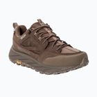 Чоловічі трекінгові черевики Jack Wolfskin Terraquest Texapore Low gecko bear