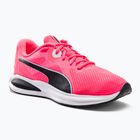 Кросівки для бігу жіночі PUMA Twitch Runner рожеві 376289 22