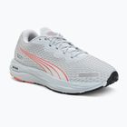 Кросівки для бігу жіночі Puma Velocity Nitro 2 GTX grey/salmon